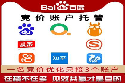 SEM代理的优化策略及成功案例
